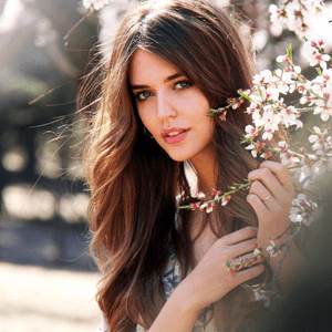 Hello Window julia peter